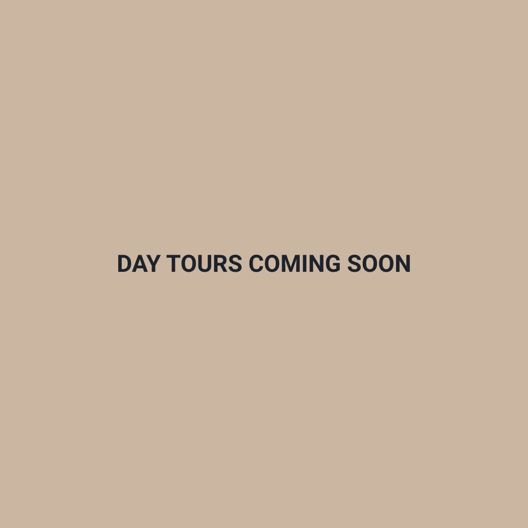 Boulders Beach Penguins Cape Town Day Tours South African Travel Desk